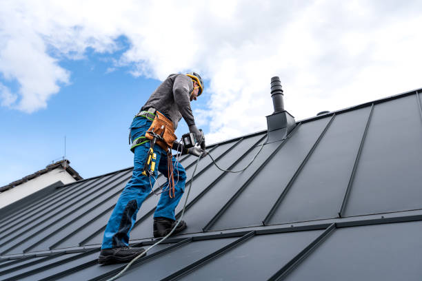 Best Sheet Metal Roofing  in Burlington, NC