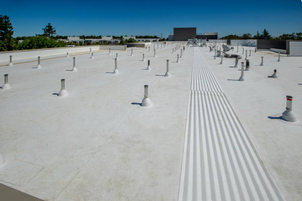 Best Metal Roofing Installation  in Burlington, NC